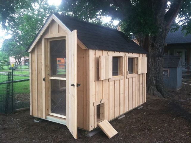 custom-built backyard chicken coop