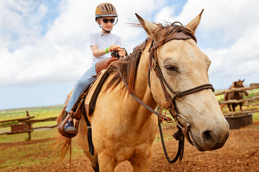 A boy riding a horse during his therapeutic horse-riding program
