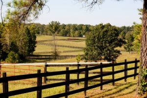 preparing your pasture for winter