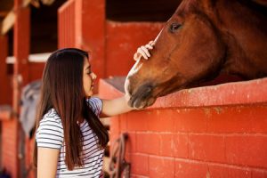 horse and rider in barn