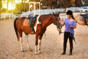 horseback riding lessons