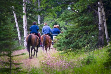 Riding Horses