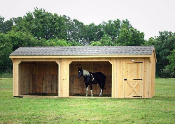 Horse in Shed