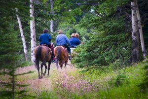 Horseback Riding 