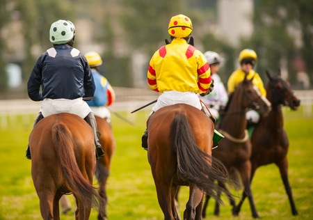 Horses playing polo
