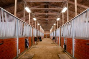 Properly lit aisle horse barn 