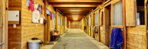 Clean horse barn maintained for fire prevention
