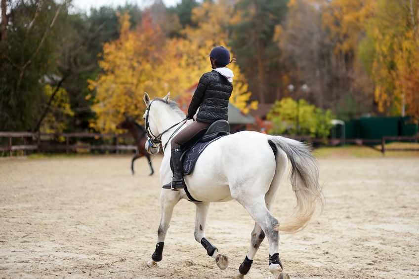 Girl rider trains in horse riding in equestrian club on autumn day