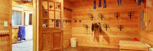 Beautifully designed horse barn. Clean, stable storage room.