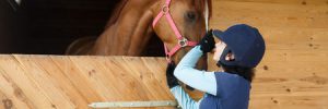 Horse Barns and Stables in Texas