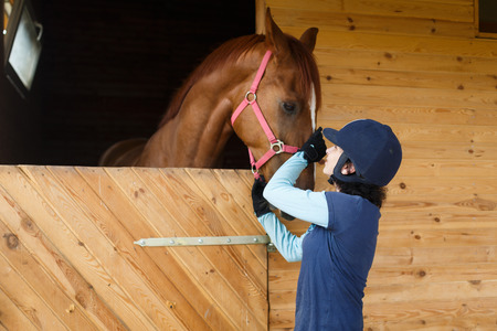 Horse owner petting horse over stall door 