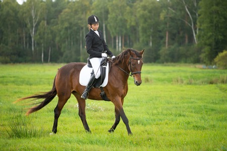 Horseback Riding Advice for Beginners Horse Barns and Run-In Sheds for Sale in Texas