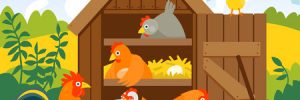 Prefab & Custom Size Chicken Coops in Texas