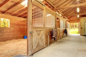 clean horse barn stalls 