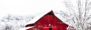 Horse Barns & Stables for Sale in TX