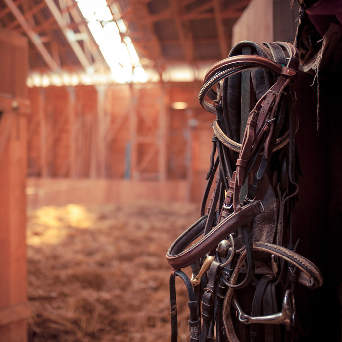 Portable Horse Barns for Sale in TX