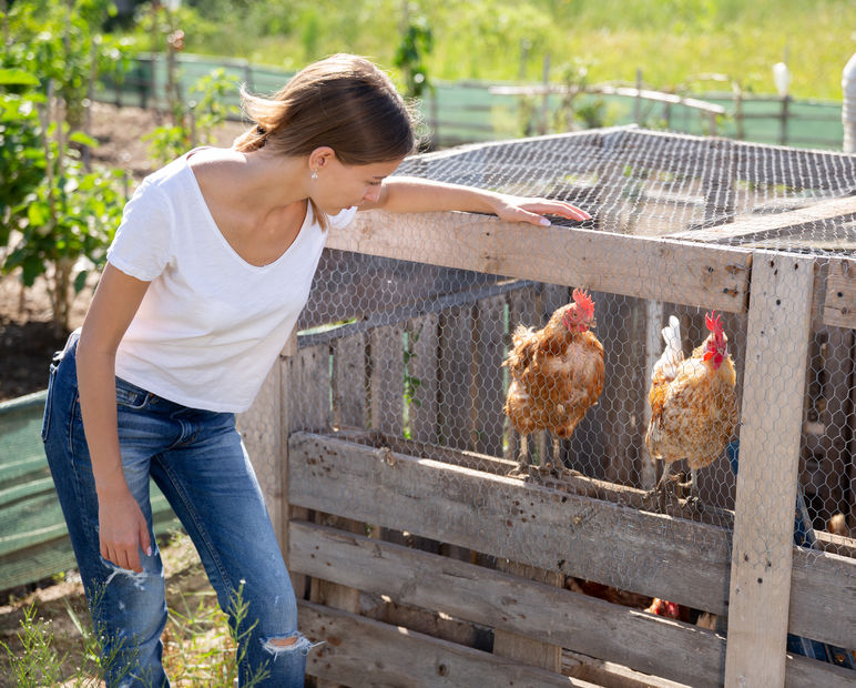 Prefab Chicken Coops for Sale near Houston TX