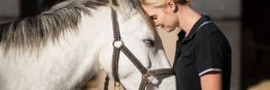 Portable Horse Barns for Sale in Texas