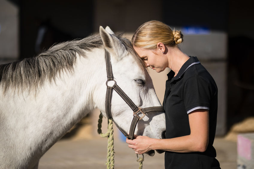 Portable Horse Barns for Sale in Texas