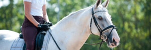 Horse Barns for Sale in TX