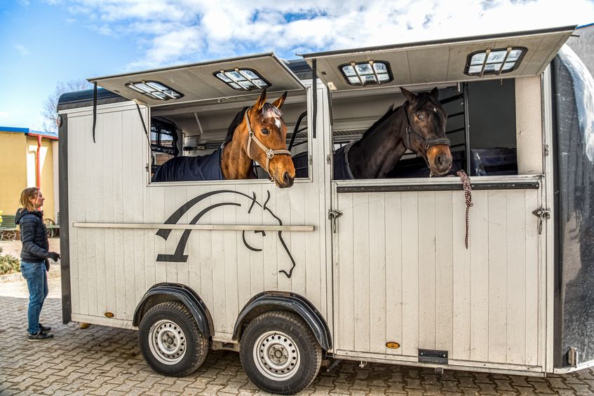 travel horse transport