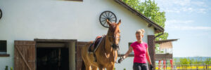 Prefab Horse Barns for Sale in Texas