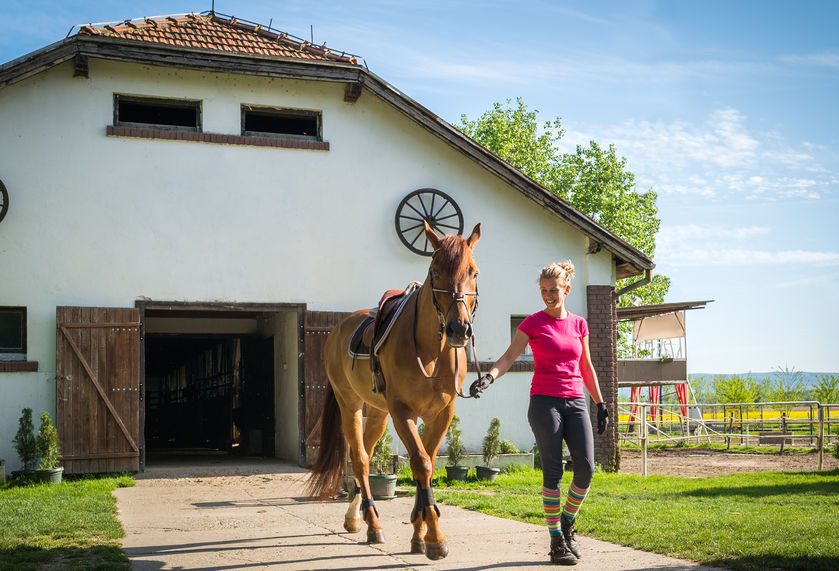 Prefab Horse Barns for Sale in Texas