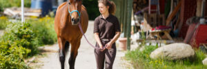 Prefab Portable Horse Barns for Sale in Texas
