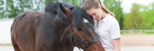 Prefab Horse Barns for Sale in Texas
