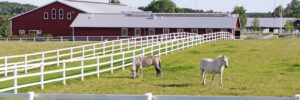 Large horse farm with horses grazing around newly repaired fences