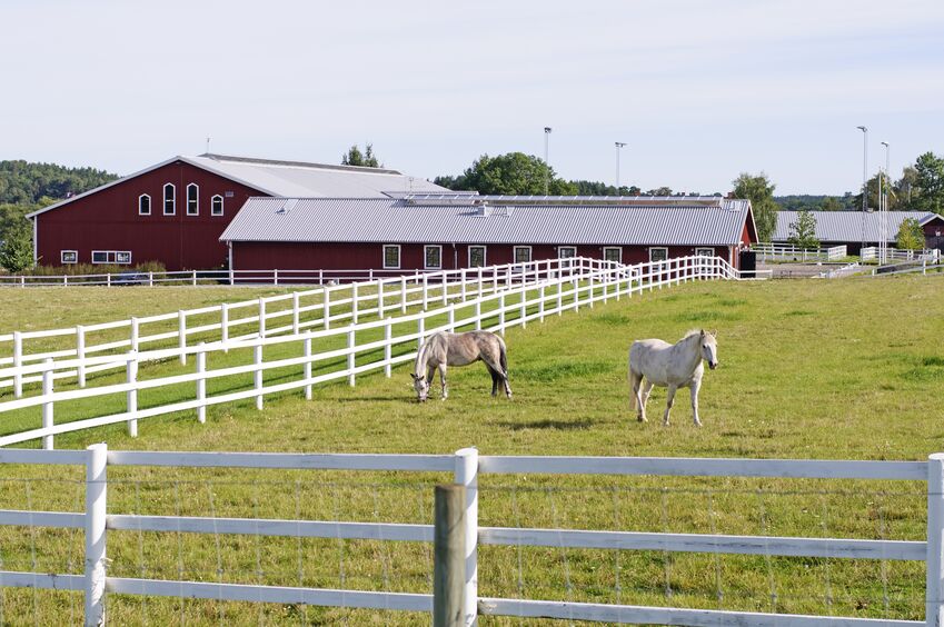 Large horse farm with horses grazing around newly repaired fences