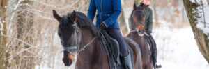 Two sportswomen riding bay horses in winter park