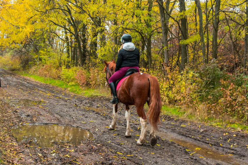 woman riding horse on trail during fall season