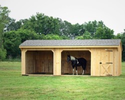 run in horse shed