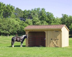 10x16 run-in with 6ft tack room