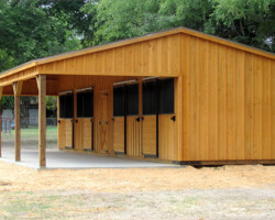 shedrow horse barn pine