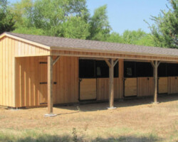 shedrow horse barn